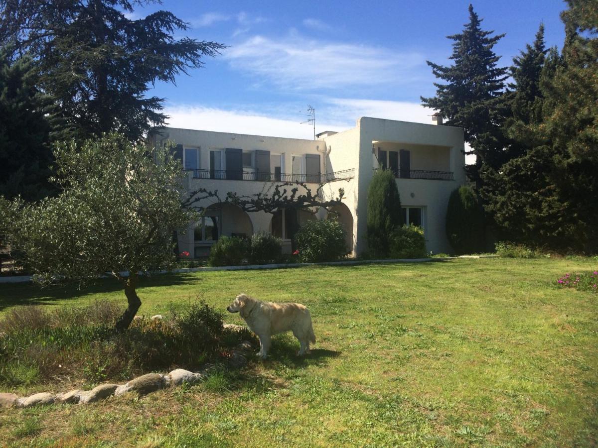 Chambre D'Hotes Villa Cote Vermeille Argeles-sur-Mer Exterior photo